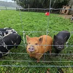 別荘 The Old At Brackenthwaite Farm *