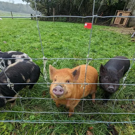 Σπίτι διακοπών The Old At Brackenthwaite Farm *